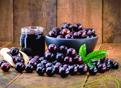 ESSENCIA VYA JABUTICABA E CASTANHA 100ML