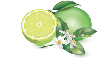 SACO DE LIXO BANHEIRO E PIA ODOR DEFENSE LEMON FRESH