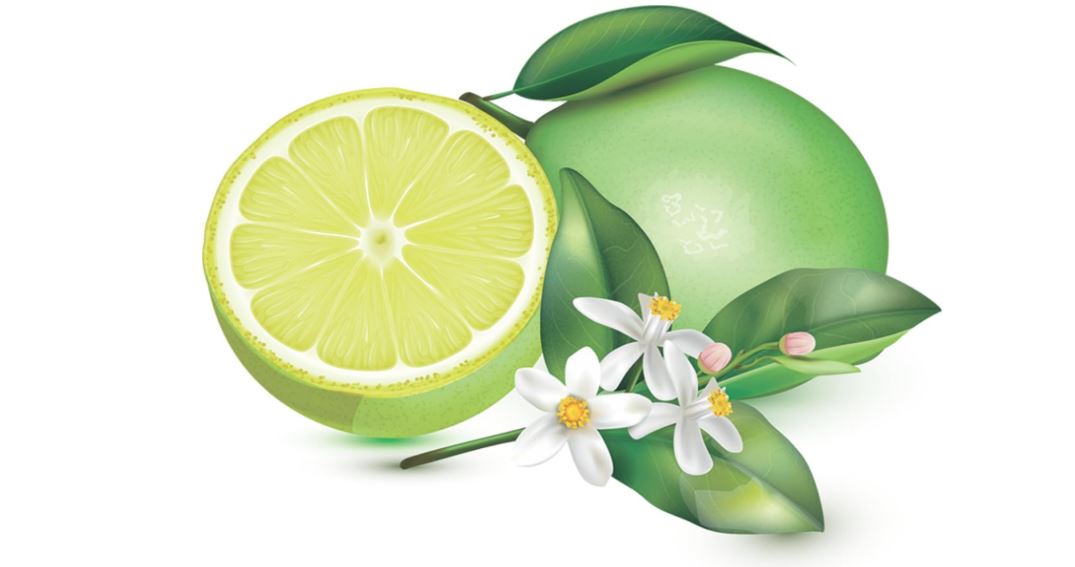 SACO DE LIXO BANHEIRO E PIA ODOR DEFENSE LEMON FRESH